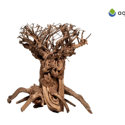 Aquadeco Mammut Bonsai – Ansicht 3