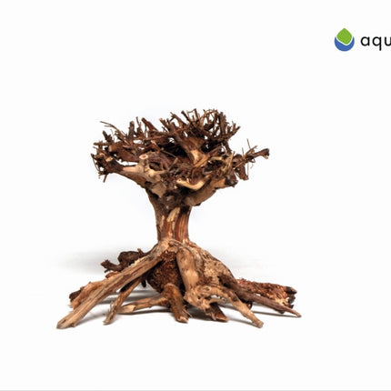 Aquadeco Mammut Bonsai – Hölzer und Wurzeln für das Aquarium bei AquascapingForLife