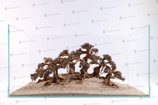 Aquadeco Aqua Bonsai – Hölzer und Wurzeln für das Aquarium bei AquascapingForLife