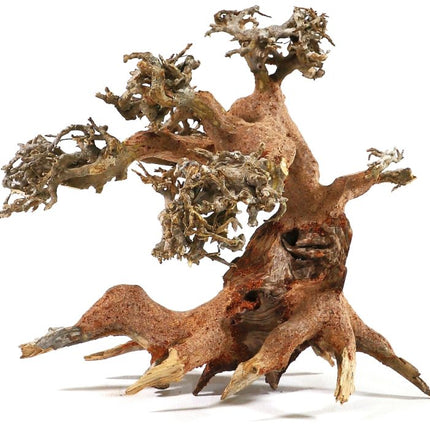 Aquadeco Aqua Bonsai – Ansicht 2