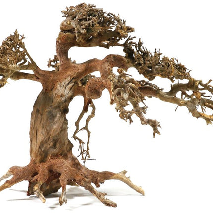 Aquadeco Aqua Bonsai – Ansicht 4