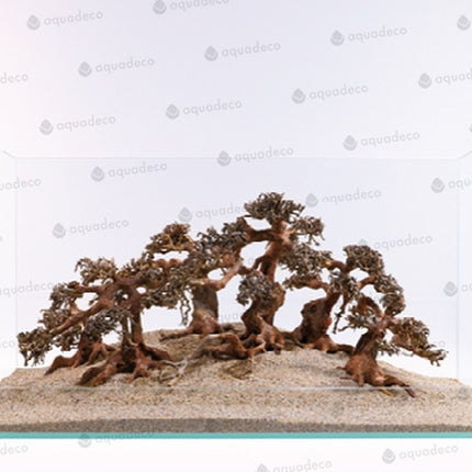 Aquadeco Aqua Bonsai – Ansicht 5