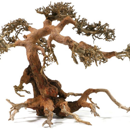 Aquadeco Aqua Bonsai – Ansicht 6