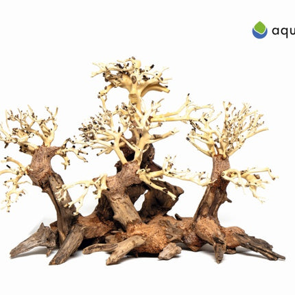 Aquadeco Wald Bonsai – Hölzer und Wurzeln für das Aquarium bei AquascapingForLife