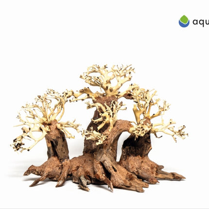 Aquadeco Wald Bonsai – Ansicht 2