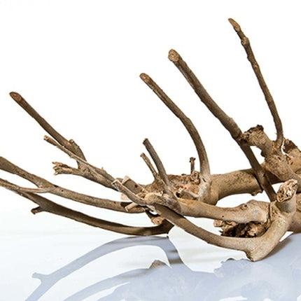 Aquadeco Talawa Holz – Aquarium-Deko für das Aquarium bei AquascapingForLife