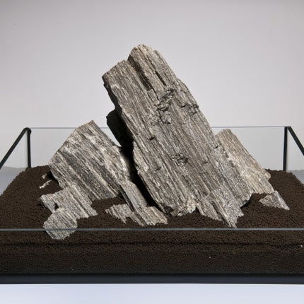 Aquadeco Glimmer Wood Rock [P ] – Steine für das Aquarium bei AquascapingForLife