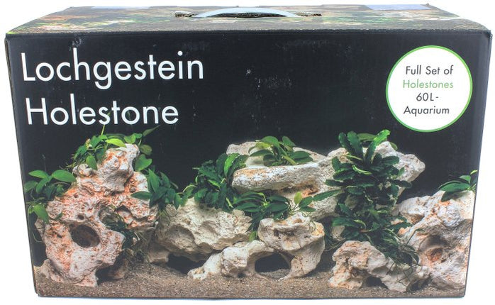 Aquadeco Deko Set Multi Lochgestein – Steine für das Aquarium bei AquascapingForLife