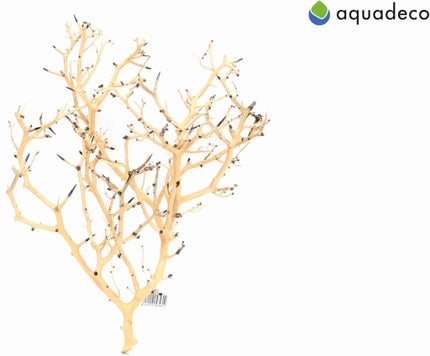 Aquadeco Coral Tree – Ansicht 2