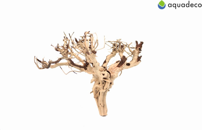 Aquadeco Etosha Tree – Hölzer und Wurzeln für das Aquarium bei AquascapingForLife