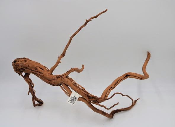 Aquadeco Curl Wood – Aquarium-Deko für das Aquarium bei AquascapingForLife