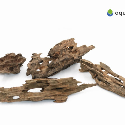 Aquadeco Drachen Holz [P ] – Aquarium-Deko für das Aquarium bei AquascapingForLife
