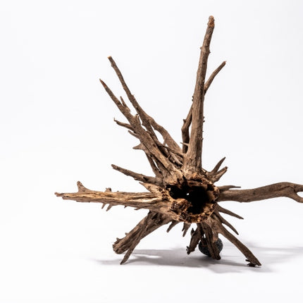 Aquadeco Corbo Stump – Aquarium-Deko für das Aquarium bei AquascapingForLife