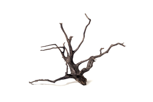 Aquadeco Black Root – Hölzer und Wurzeln für das Aquarium bei AquascapingForLife