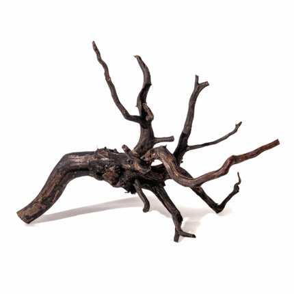 Aquadeco Black Root – Ansicht 3