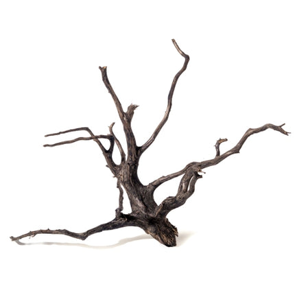 Aquadeco Black Root – Ansicht 7