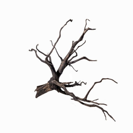 Aquadeco Black Root – Ansicht 12