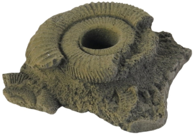 Variogart (KS Graphik) Pflanzhilfe 11 Fossilien [P2] – Aquarium-Deko für das Aquarium bei AquascapingForLife