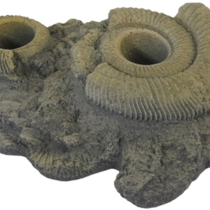 Variogart (KS Graphik) Pflanzhilfe 12 Fossilien – Aquarium-Deko für das Aquarium bei AquascapingForLife