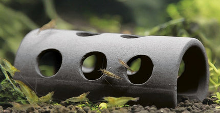 Papillon Garnelen-Tunnel – Ansicht 2