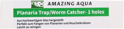 Amazing Aqua Glas Planarienfalle I Loch – Ansicht 3
