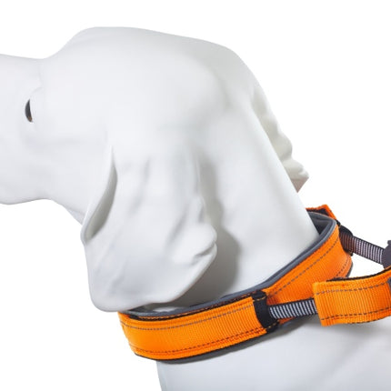 ArmoredTech Dog Control Halsband orange – Ansicht 6