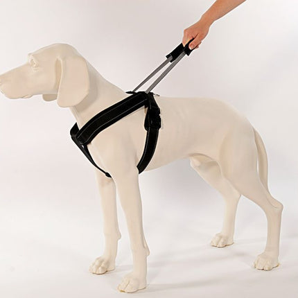 PatentoPet Sport Geschirr Langleine – Ansicht 3