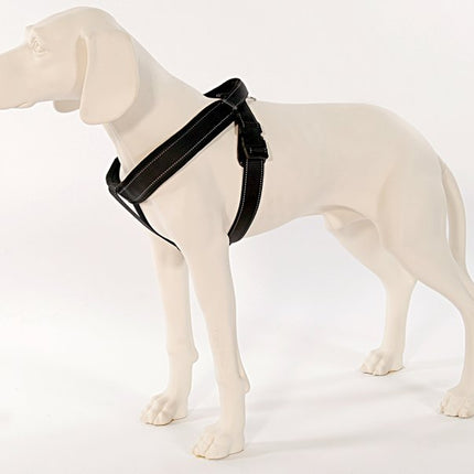 PatentoPet Sport Geschirr Langleine – Ansicht 5