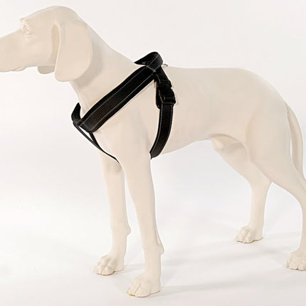 PatentoPet Sport Geschirr Langleine – Ansicht 7