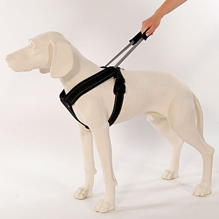 PatentoPet Sport Geschirr Langleine – Ansicht 8
