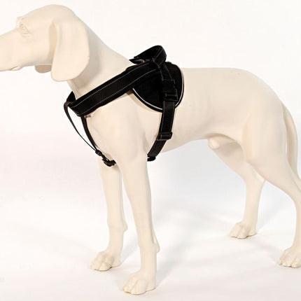 PatentoPet Jockey Geschirr Langleine M schwarz – Ansicht 2