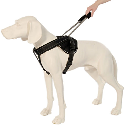 PatentoPet Jockey Geschirr Langleine M schwarz – Ansicht 3