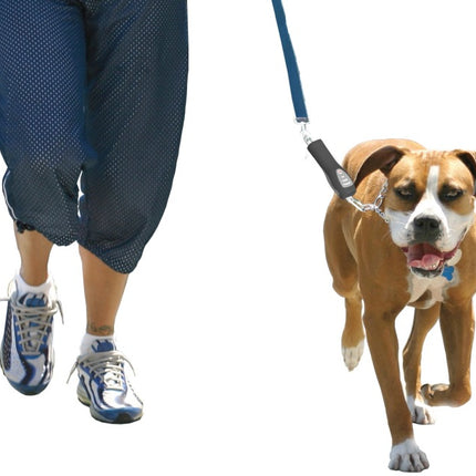 PatentoPet DOG-e-Walks Dog Trainer Basic – Ansicht 2