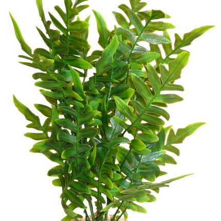 Sydeco Aqua Wild Plant grün 27 cm hoch – Restposten/Sonderposten für das Aquarium bei AquascapingForLife