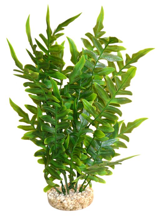 Sydeco Aqua Wild Plant grün 27 cm hoch – Restposten/Sonderposten für das Aquarium bei AquascapingForLife