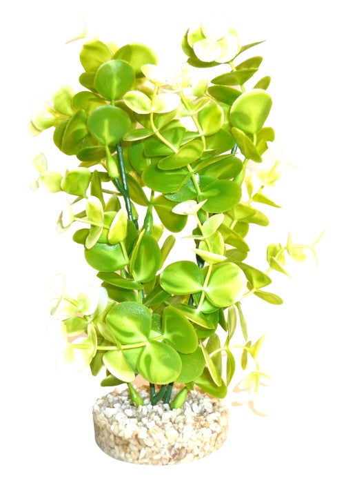 Sydeco Aqua Eucalyptus Plant grün 22 cm hoch – Kunststoffpflanzen für das Aquarium bei AquascapingForLife