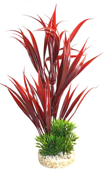 Sydeco Aqua Sword Leaves Plant rot 25 cm hoch – Restposten/Sonderposten für das Aquarium bei AquascapingForLife