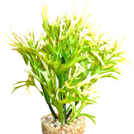 Sydeco Aqua Fern Plant grün 19 cm hoch – Kunststoffpflanzen für das Aquarium bei AquascapingForLife