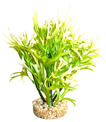 Sydeco Aqua Fern Plant grün 19 cm hoch – Kunststoffpflanzen für das Aquarium bei AquascapingForLife