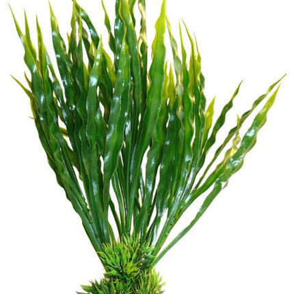 Sydeco Aqua Atoll Plant grün 28 cm hoch – Kunststoffpflanzen für das Aquarium bei AquascapingForLife