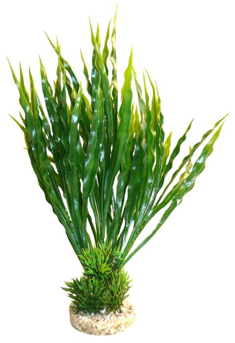 Sydeco Aqua Atoll Plant grün 28 cm hoch – Kunststoffpflanzen für das Aquarium bei AquascapingForLife