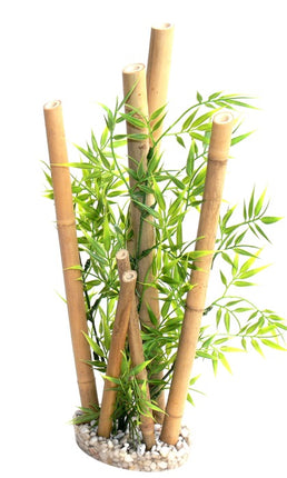 Sydeco Bamboo plants hoch [P ] – Ansicht 2