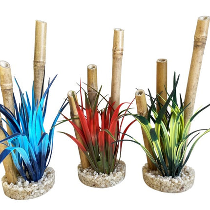 Sydeco Bamboo forest plants 20 cm hoch [P6] – Aquarium-Deko für das Aquarium bei AquascapingForLife