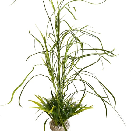 Sydeco Lily grass 45 cm hoch [P8] – Kunststoffpflanzen für das Aquarium bei AquascapingForLife