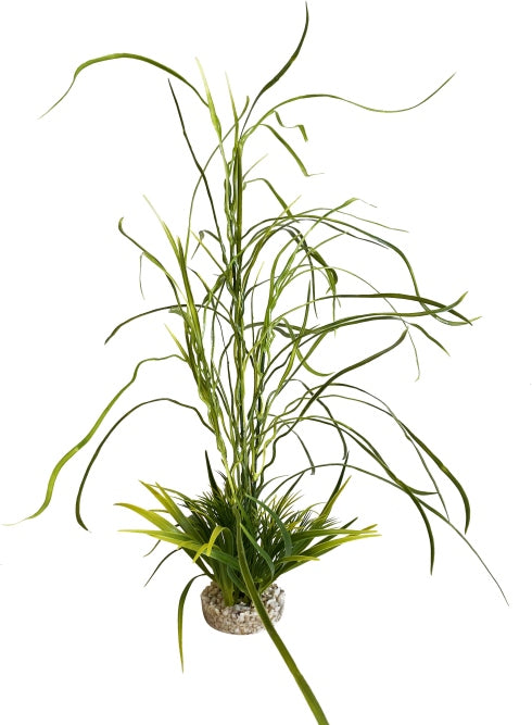 Sydeco Lily grass 45 cm hoch [P8] – Kunststoffpflanzen für das Aquarium bei AquascapingForLife
