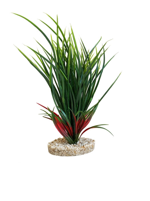 Sydeco Fan grass 34 cm hoch [P6] – Aquarium-Deko für das Aquarium bei AquascapingForLife