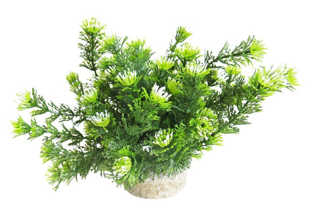 Sydeco Marina bowl 21 cm hoch [P4] – Aquarium-Deko für das Aquarium bei AquascapingForLife
