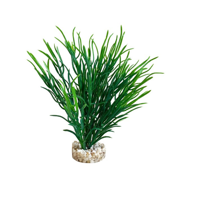 Sydeco Sea grass medium 25 cm hoch [P12] – Aquarium-Deko für das Aquarium bei AquascapingForLife