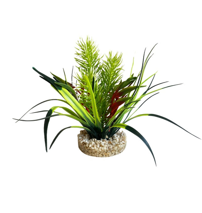 Sydeco Jungle hoch [P ] – Aquarium-Deko für das Aquarium bei AquascapingForLife