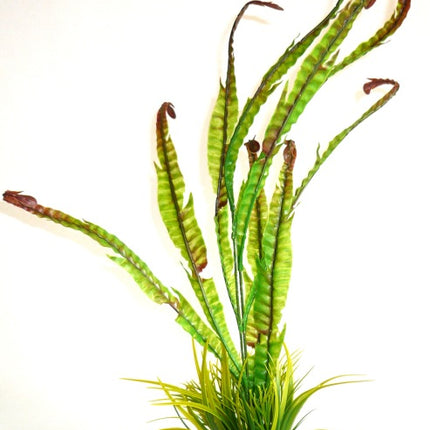 Sydeco Sea Plant 40 cm hoch [P6] – Aquarium-Deko für das Aquarium bei AquascapingForLife
